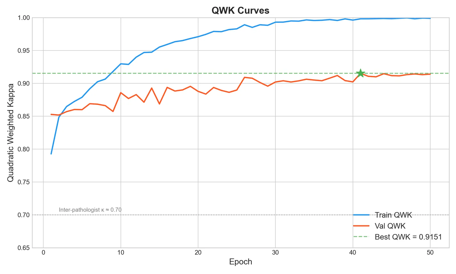 Training and validation Quadratic Weighted Kappa curves for the best PathOS HistoEncoder TransMIL run.
