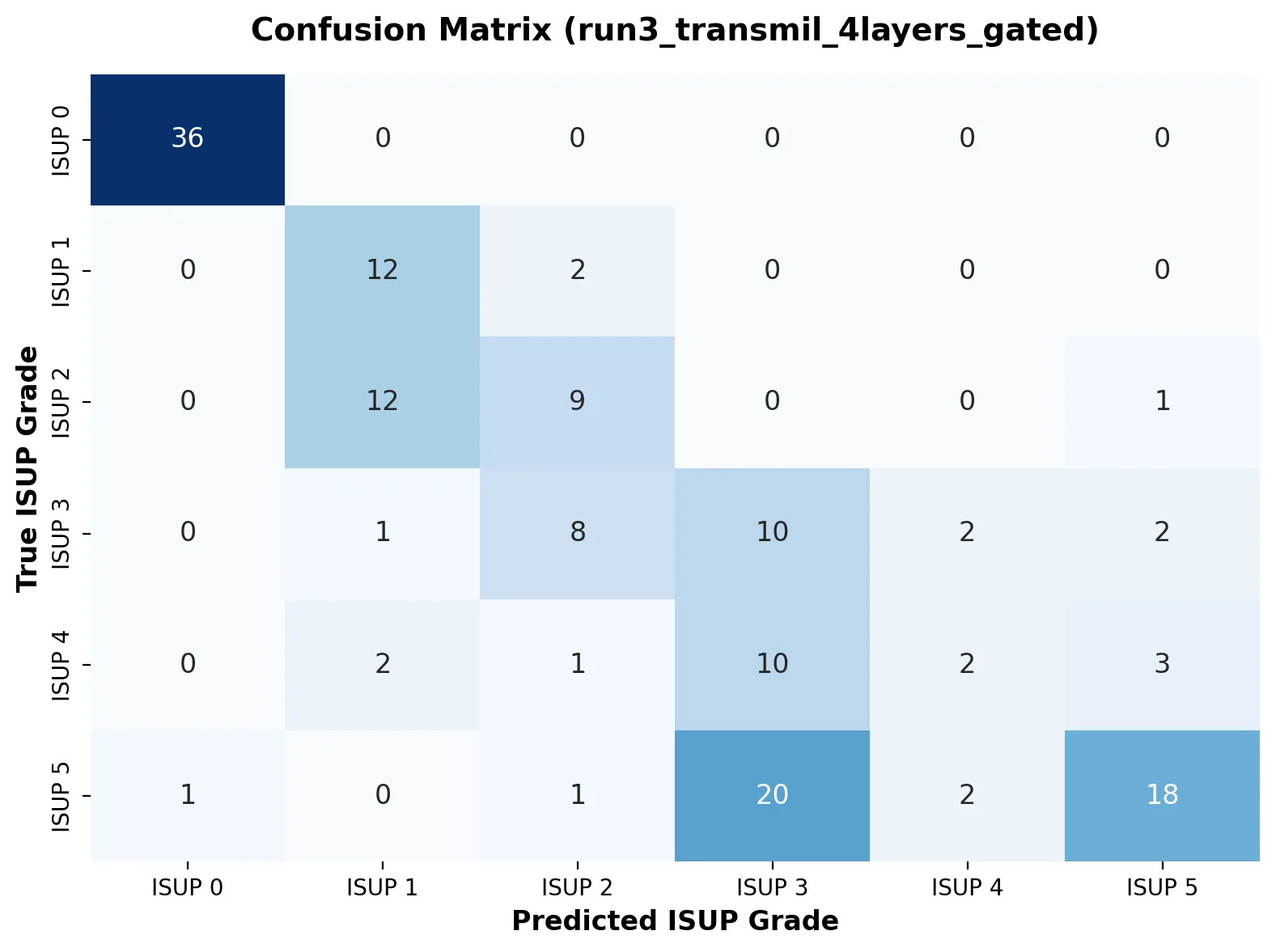 External evaluation confusion matrix for the PathOS HistoEncoder TransMIL model.
