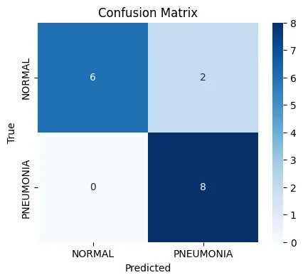 CNN confusion matrix for a small pneumonia detection test set.